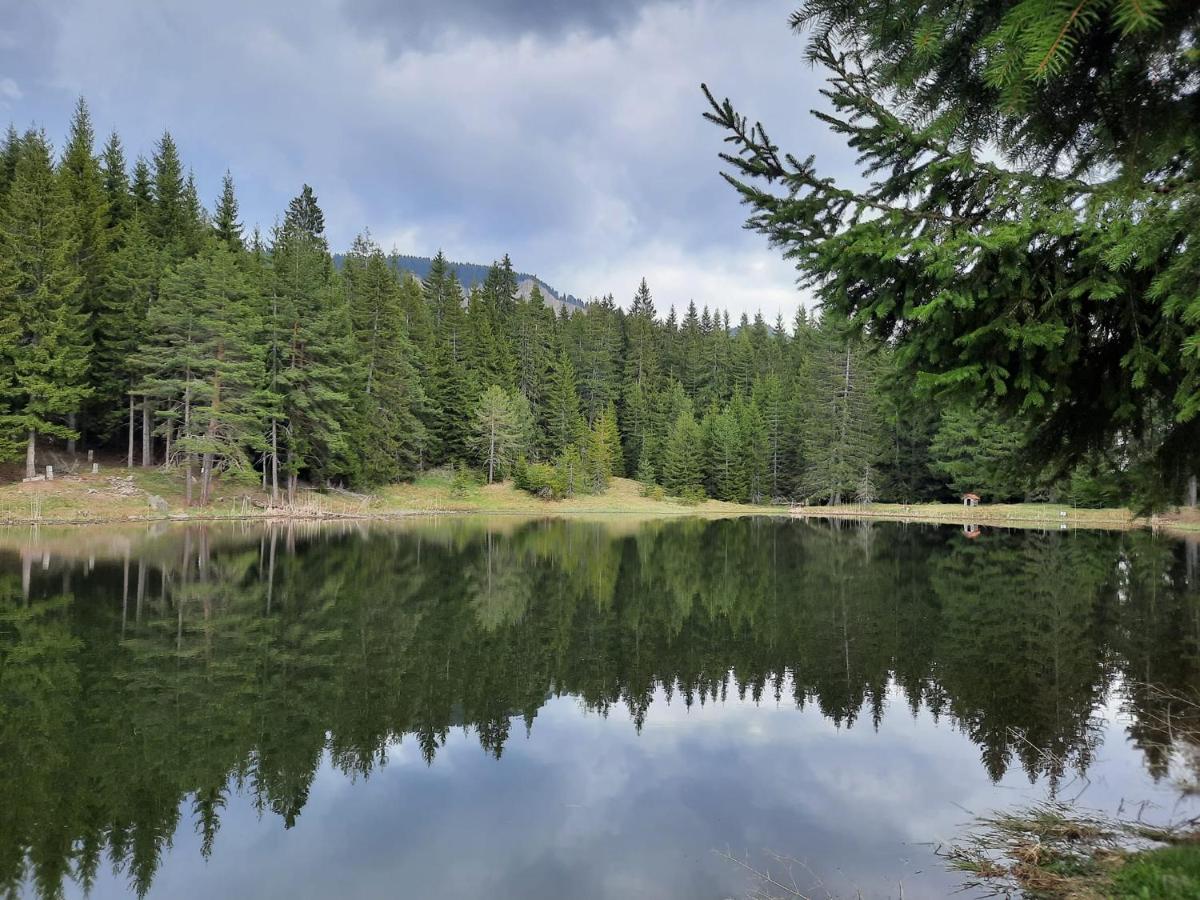 Утро Без Аларма, Смолянски Езера. Alarm Free Morning Smolyan Lakes Eksteriør billede